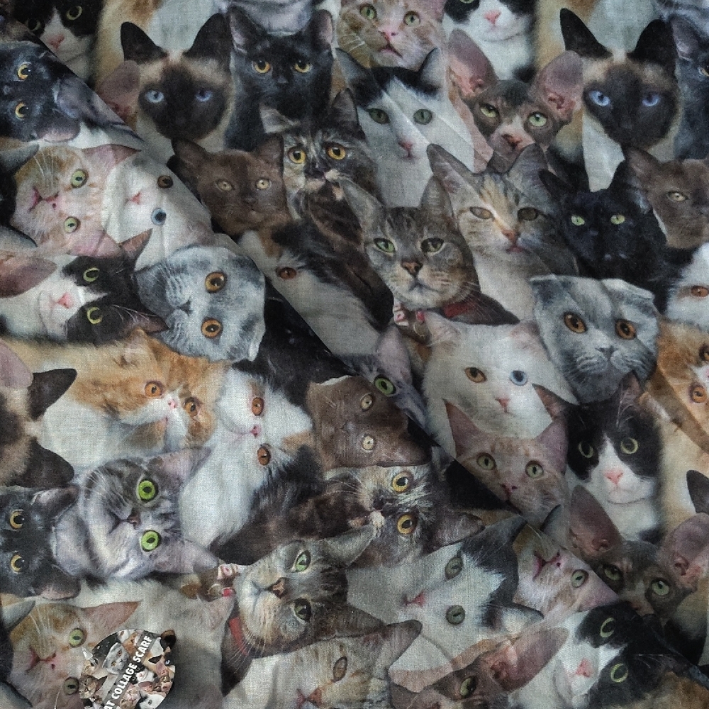 CAT Enthusiasts Charming Cat Print Scarf